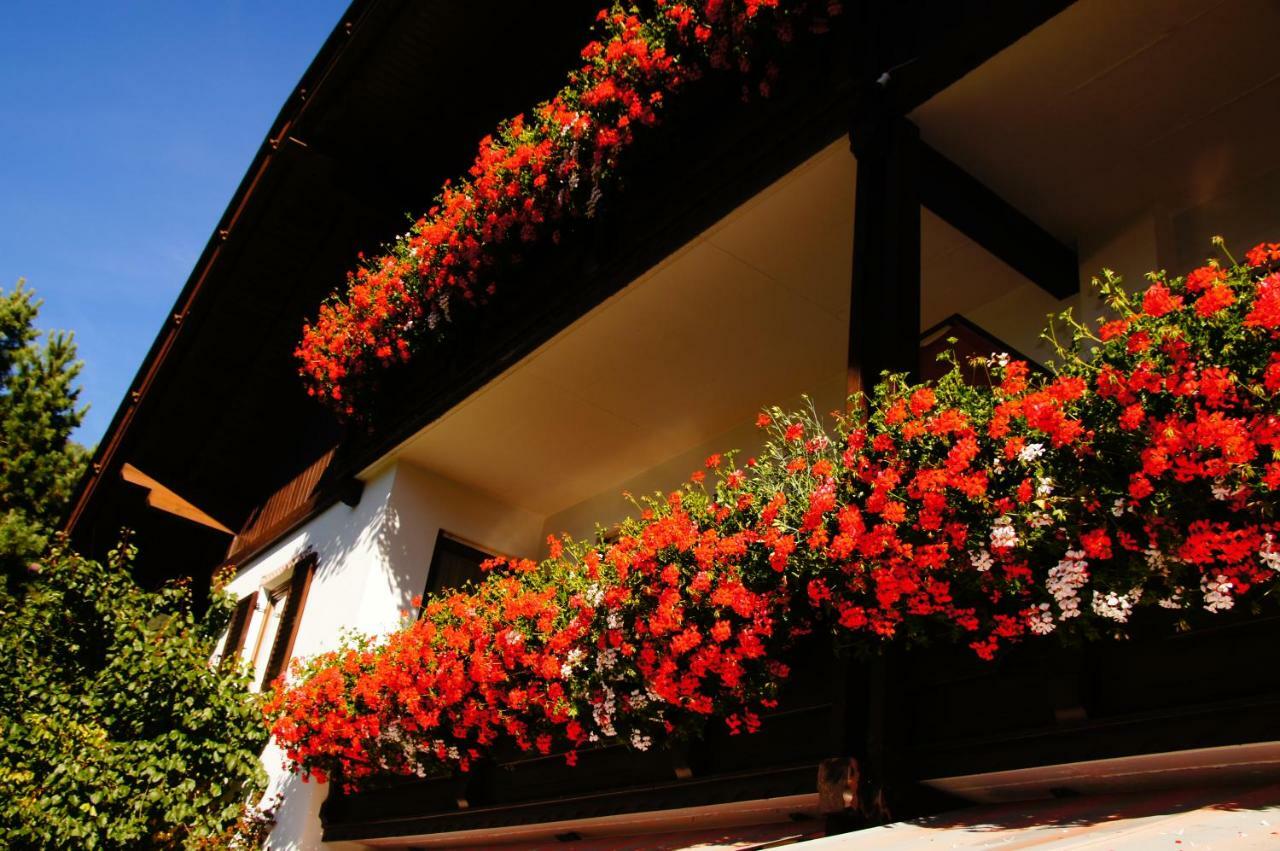Pension Appartement Santl Anterselva di Sotto Exterior foto